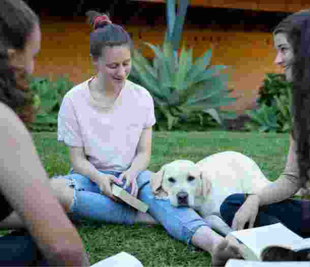 A group of four young adults sitting outside on the grass. There is a yellow labrador dog sitting with them and the dogs head is resting on one of the young adults legs.