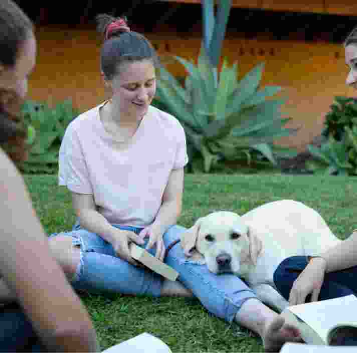 A group of four young adults sitting outside on the grass. There is a yellow labrador dog sitting with them and the dogs head is resting on one of the young adults legs.