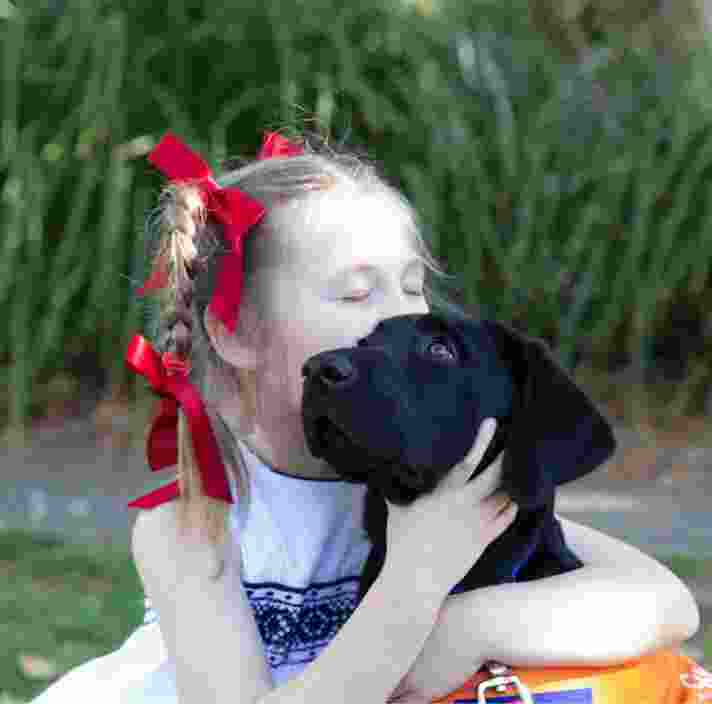 A young child kissing a black twelve week old black labrador puppy. the young child has its eyes closed and the puppy is looking to the left of the camera.
