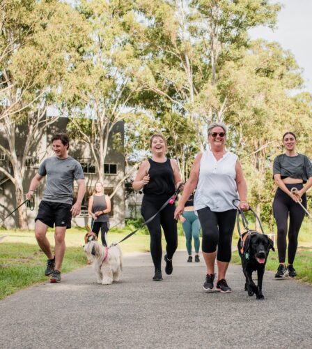 Fur-gotten friends: Aussie dogs acting up as owners return to office