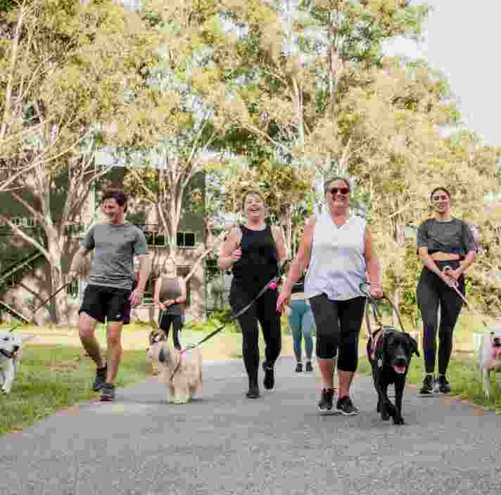 A group of people walking dogs of various sizes