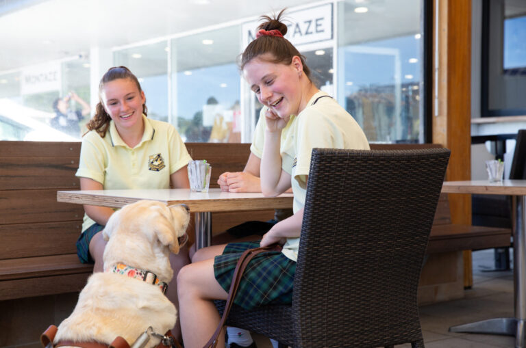 One in three Guide Dog Handlers put in danger when refused access or service because of their Guide Dog