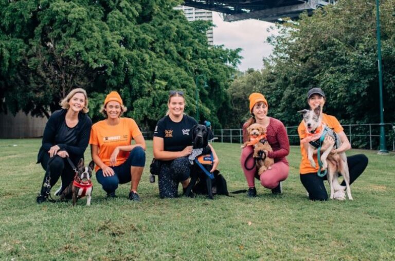 CatchUp Guide Dogs Australia