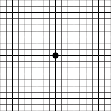 amsler grid