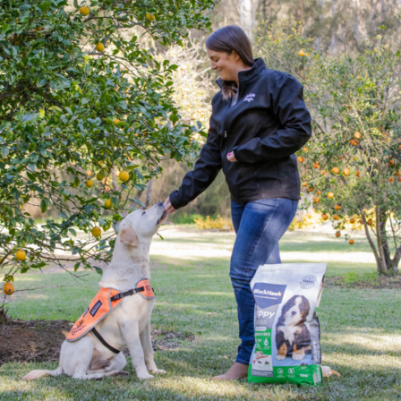 Black Hawk Ultimate Care Guide