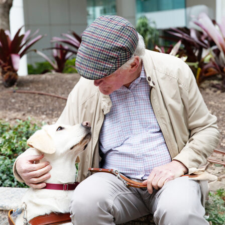 A man sitting outside looking at his Yellow Labrador guide dog