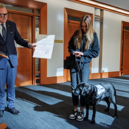 Guide Dogs appear in court!