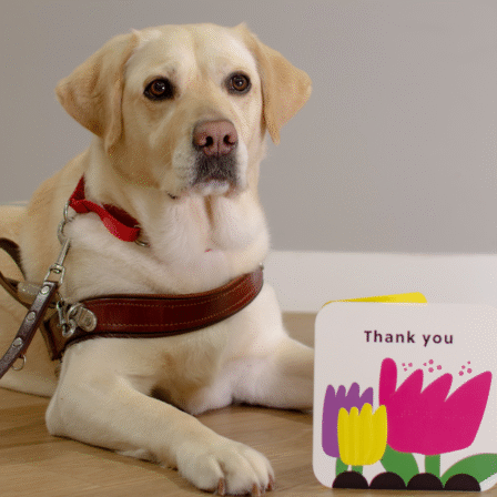 Accessible card launch