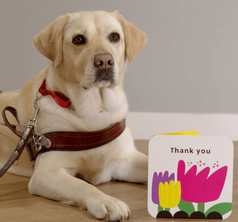 Accessible card launch
