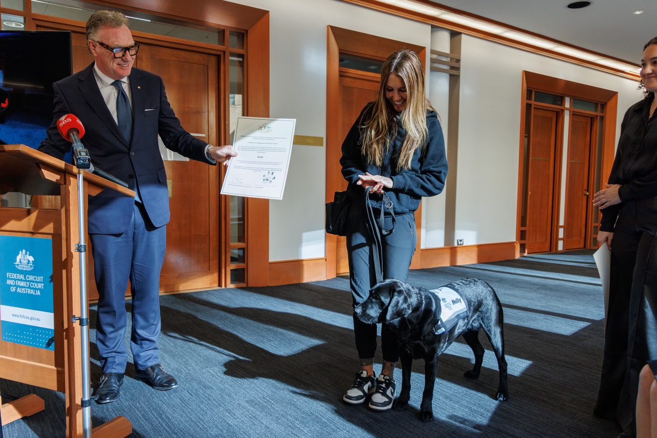Guide Dogs appear in court!