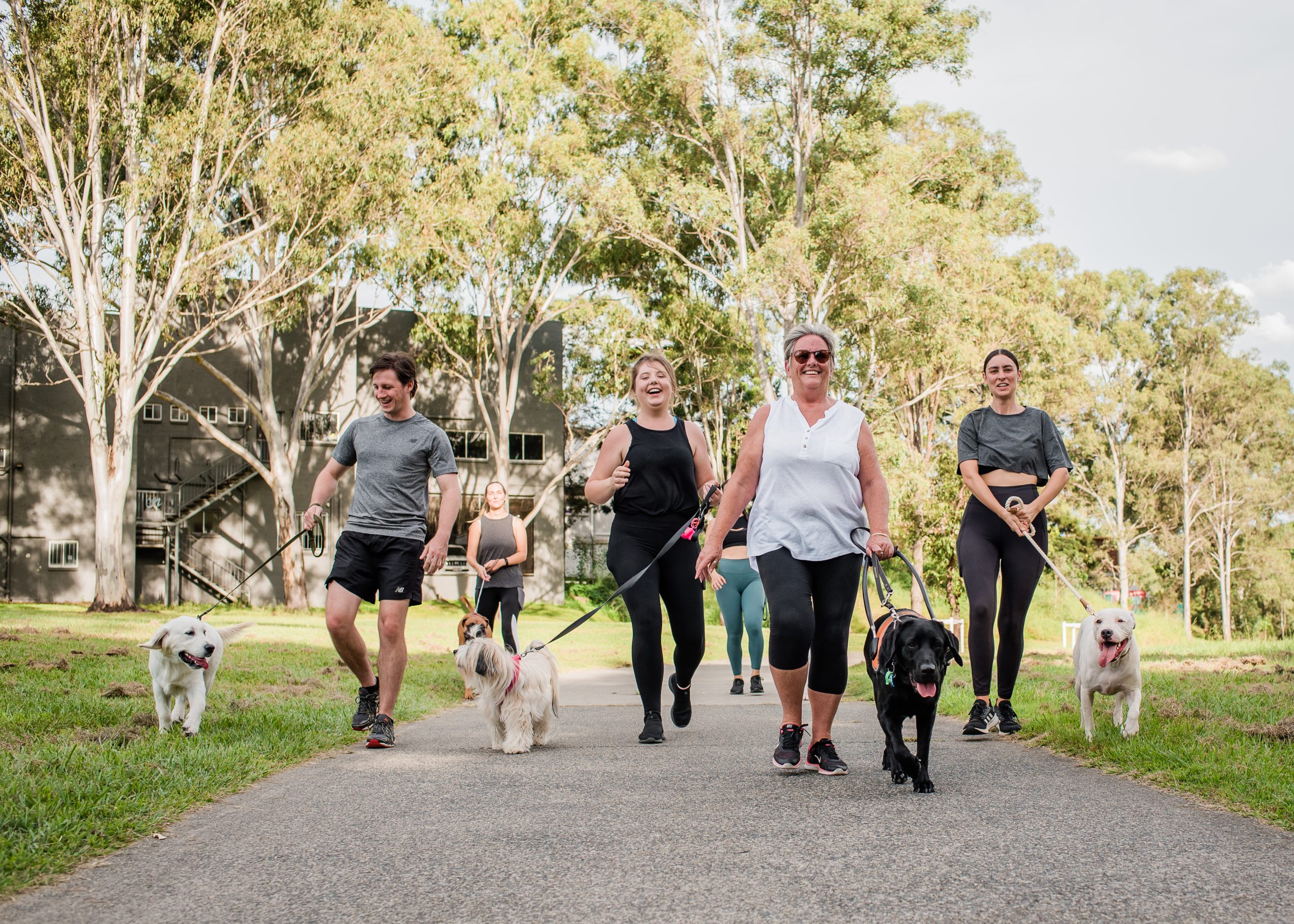 A group of people walking dogs of various sizes