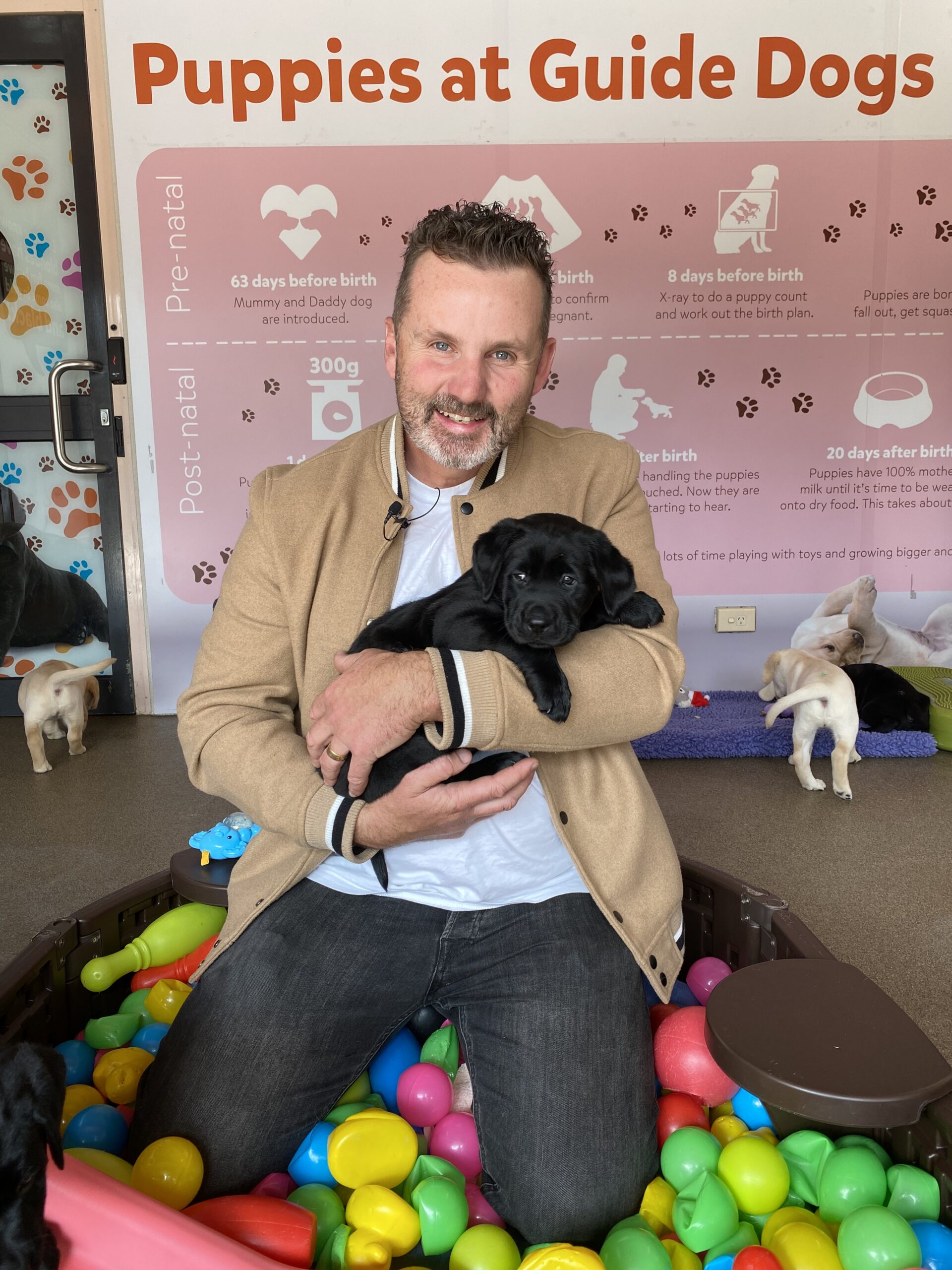 Ryan Moloney holding a black labrador puppy in a ball pit
