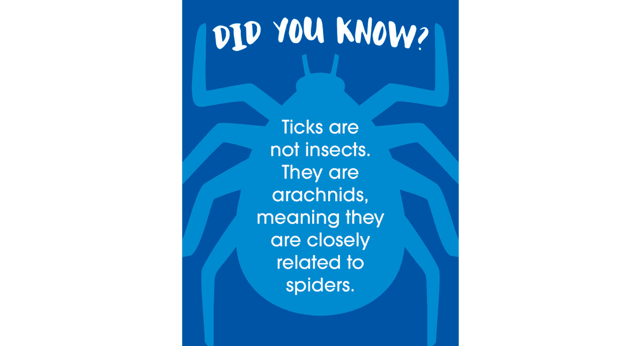 A blue poster with a graphical depiction of a tick.
