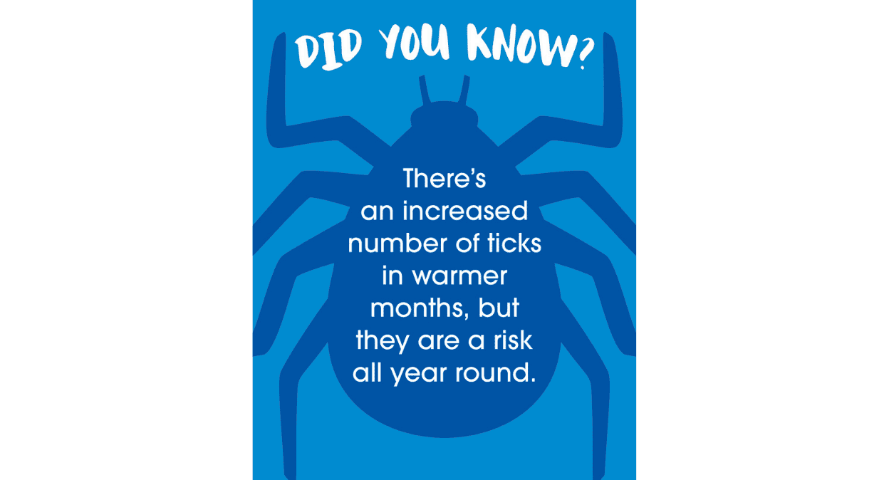 A blue poster with a graphical depiction of a tick