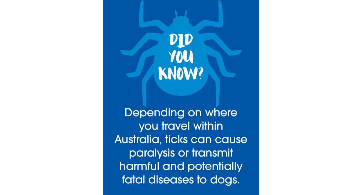 A blue poster with a graphical depiction of a tick.