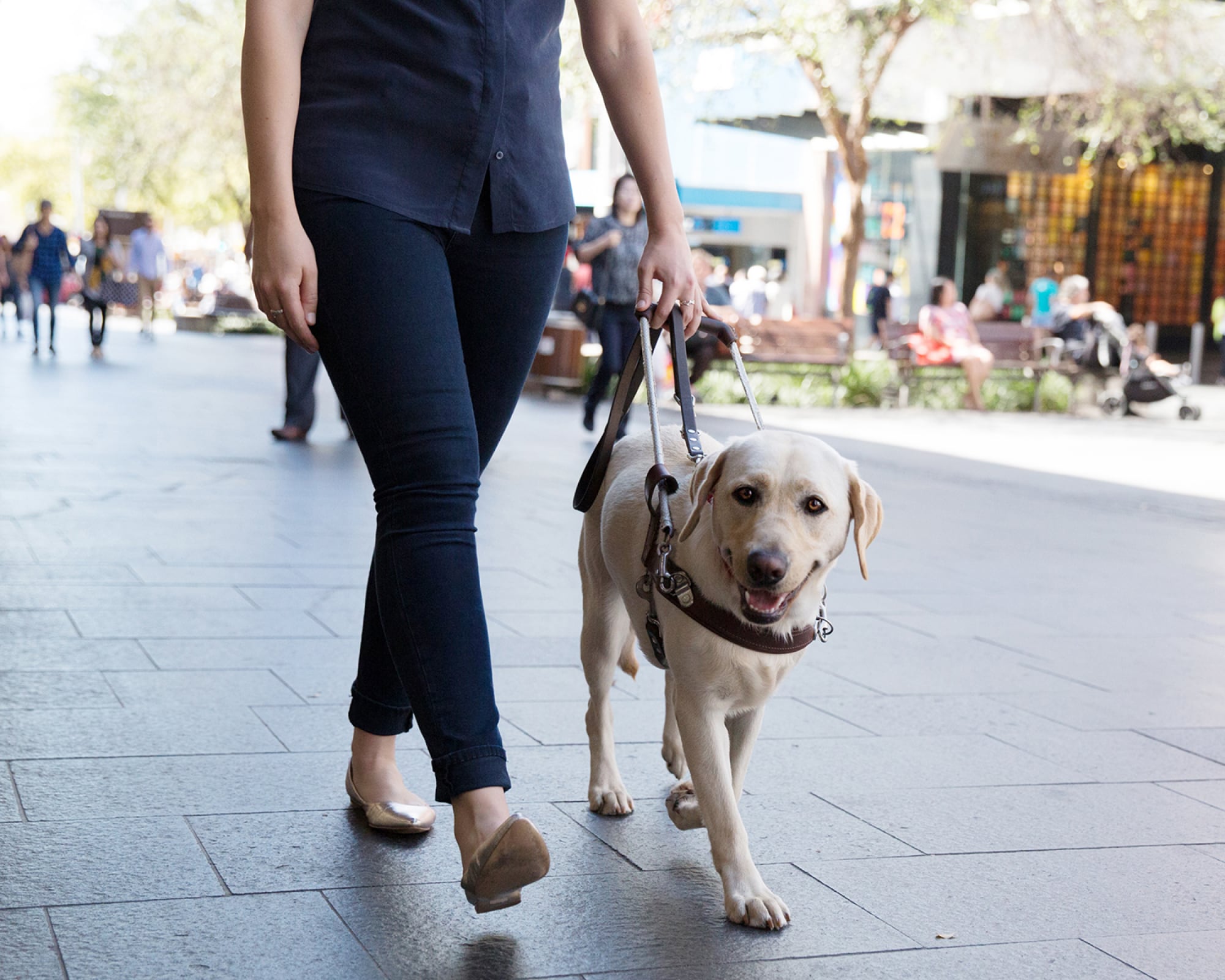 A person walking with their Guide Dog in harness through a shopping centre