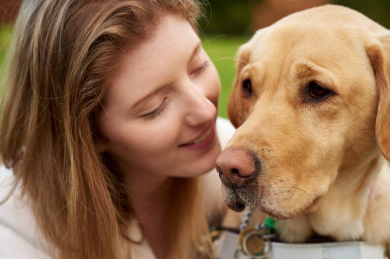 Guide Dog Mobility