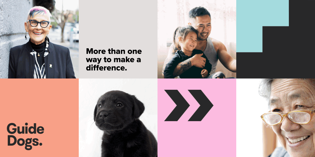 A selection of Directional Graphics interchange with images of people, puppies and Guide Dogs of all different ages.