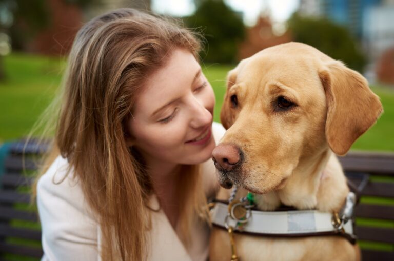 Guide Dog training and matching