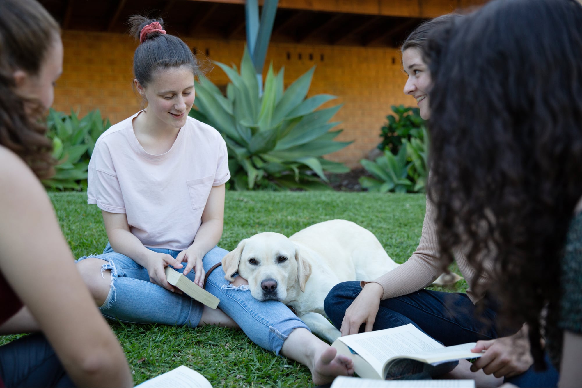 A group of four young adults sitting outside on the grass. There is a yellow labrador dog sitting with them and the dogs head is resting on one of the young adults legs.