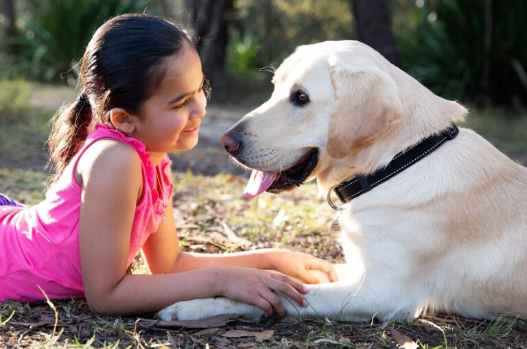 Companion Dogs