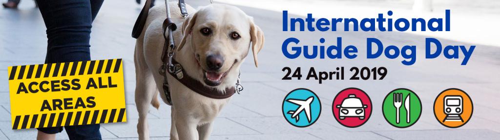 International guide hot sale dogs day 2019